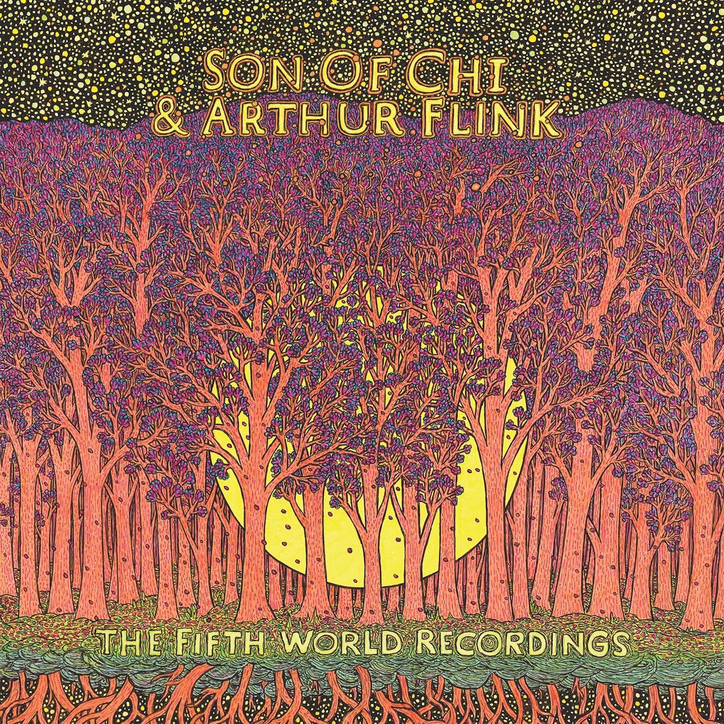 Son of Chi, Arthur Flink - The Fifth World Recordings