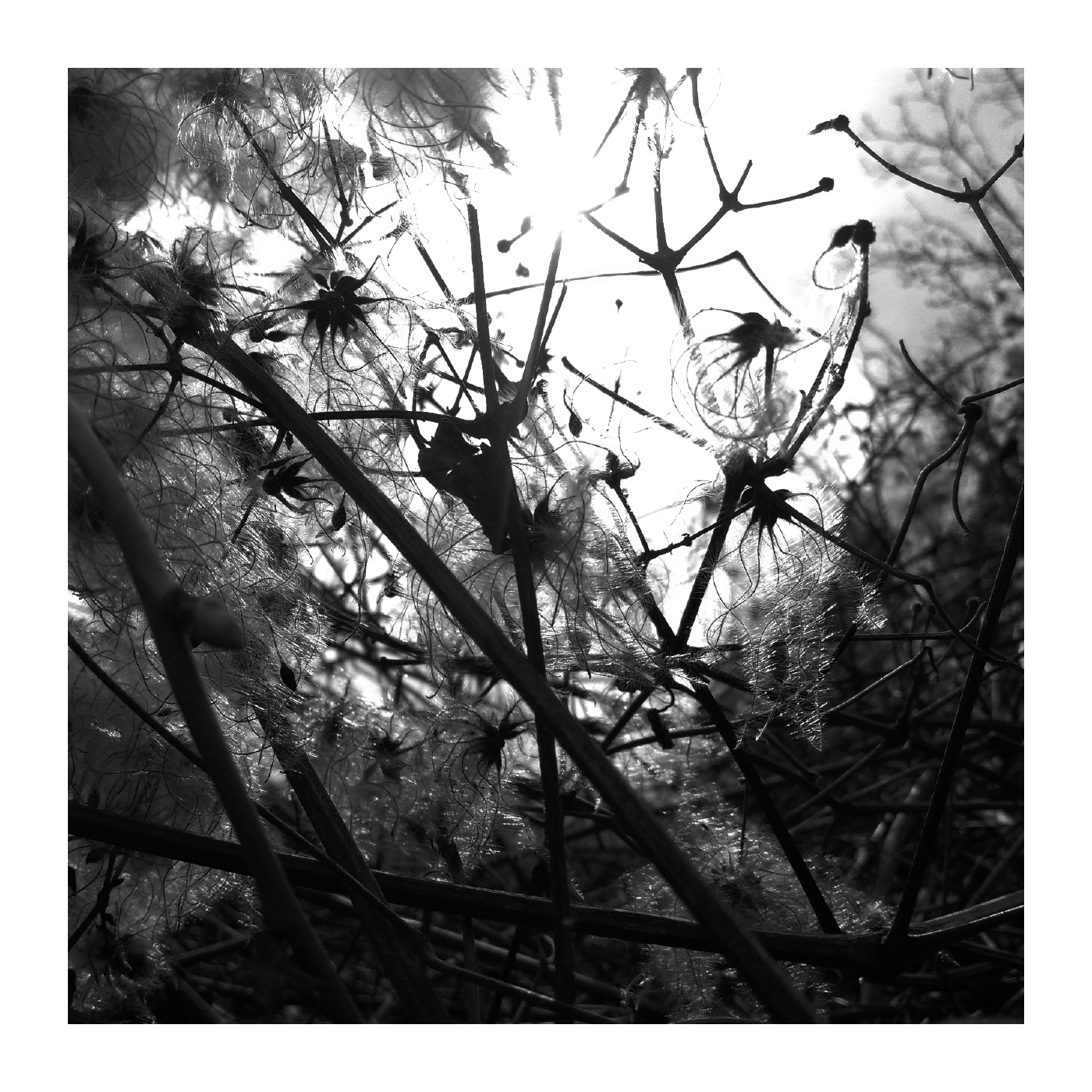 Joachim Spieth - Irradiance