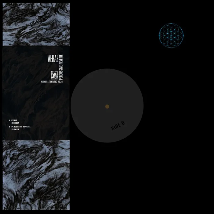 Percussive Reverie