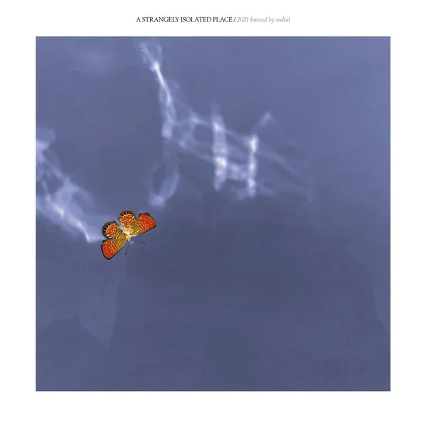 Various Artists - 2021