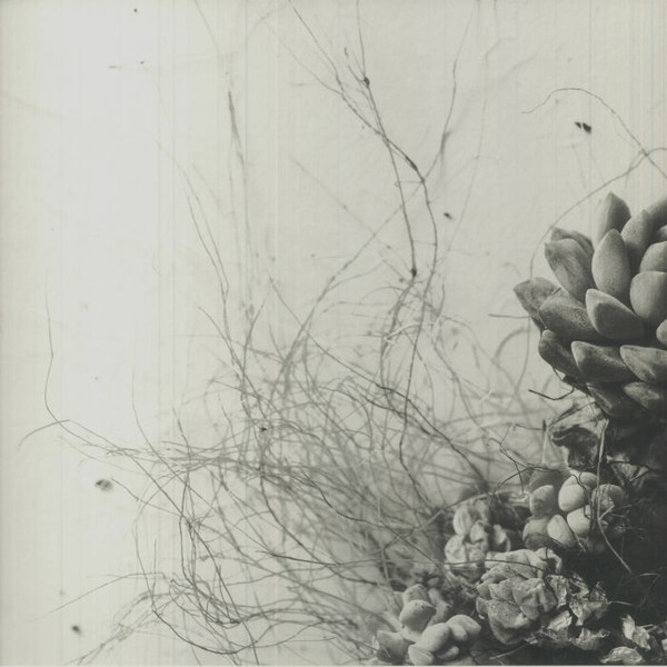 Acaera - Unfold