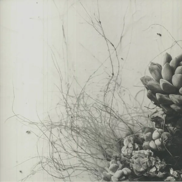 Acaera - Unfold